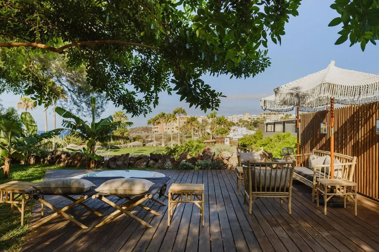 11 Holiday Homes San Miguel de Abona